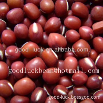 Chinese Small Red Beans,Adzuki Beans 2012 crop